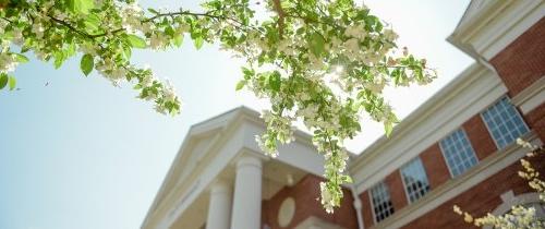 Trees blooming outside of Crounse Hall